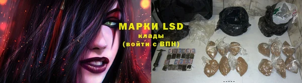 спиды Аркадак