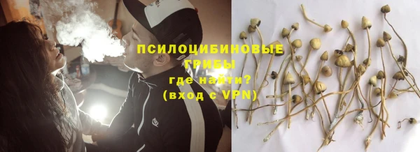 прущие крисы Арсеньев