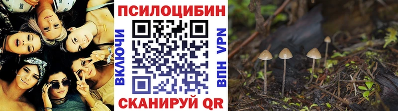 закладка  кракен tor  Галлюциногенные грибы Psilocybe  Магадан 